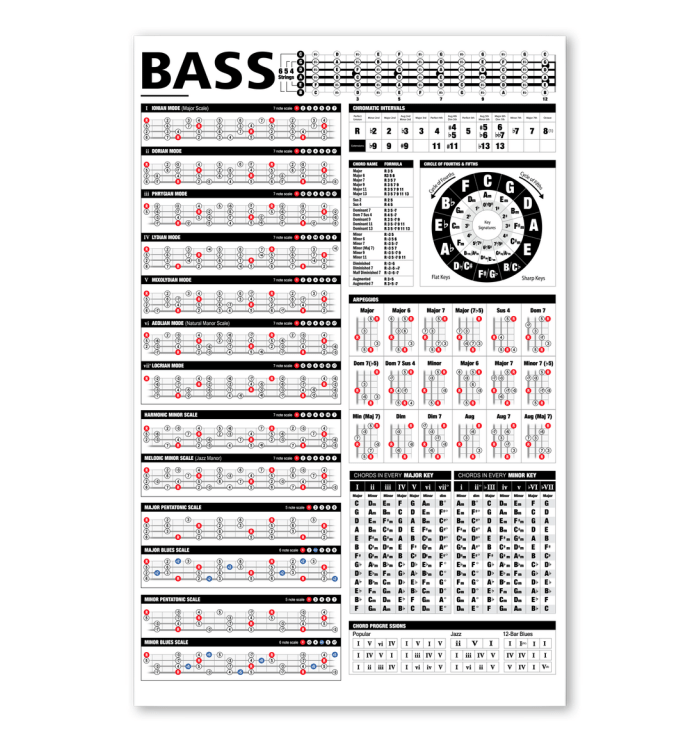 Bass Knowledge Musical Vertical Poster