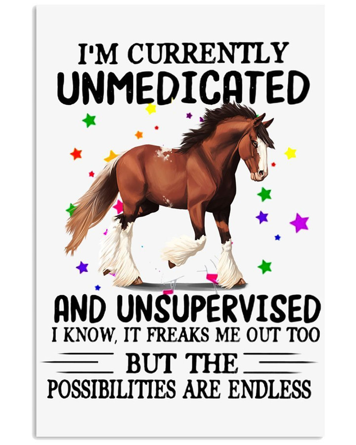 I'm Currently Unmedicated But The Possibilities Are Endless Gifts Vertical Poster