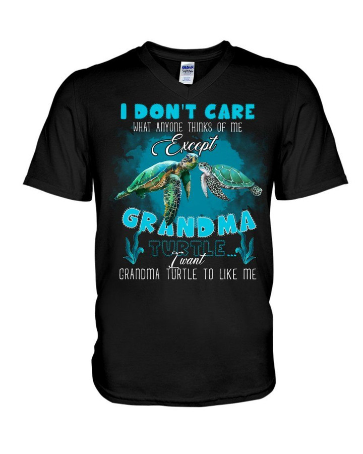 Gift For Grandchild Sea Turtle I Don't Care What Anyone Thinks Guys V-Neck