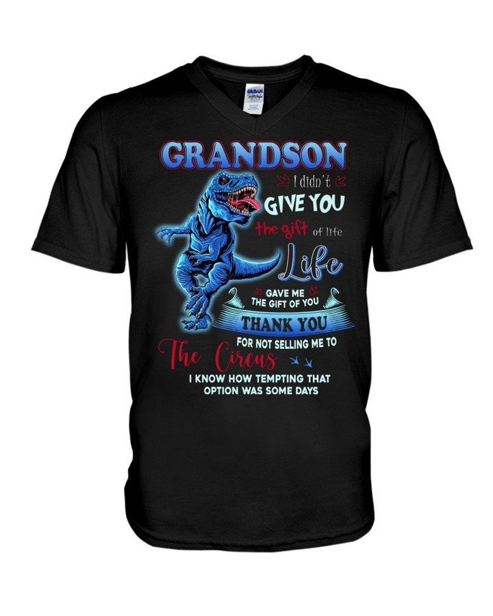 The Gift Of You Blue T Rex Gift For Grandson Guys V-Neck