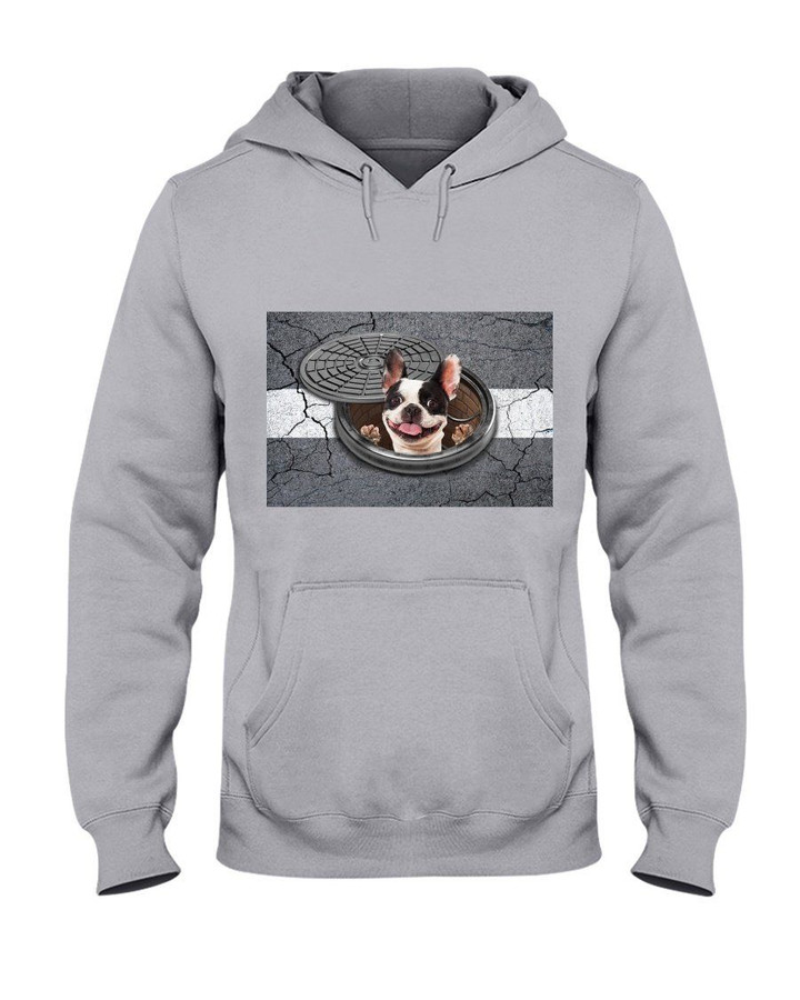 Boston Terrier Surprise Appearance Gift For Dog Lovers Hoodie