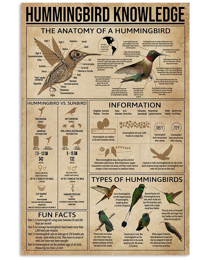 Something You Should Know About Hummingbird Knowledge Vertical Poster