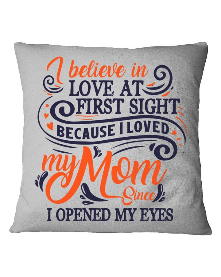 I Believe In Love At First Sight Gift For Family Pillow Cover