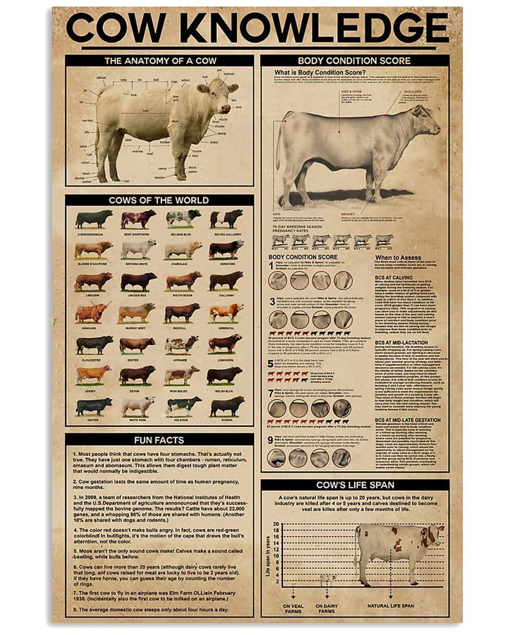 Something You Should Know About Farmer Cow Knowledge Vertical Poster