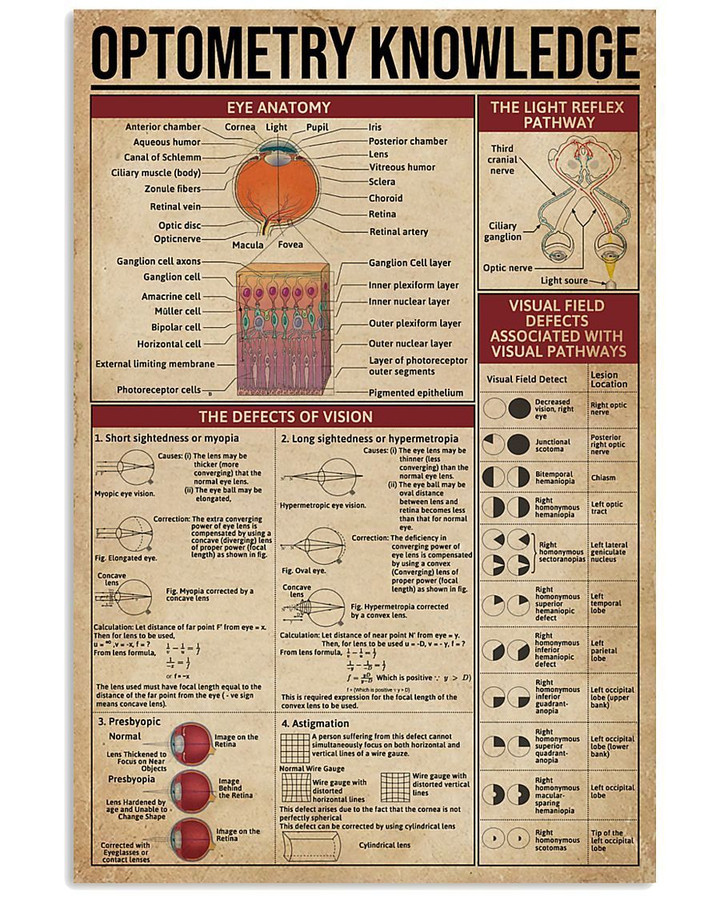Something You Should Know About Optometry Knowledge Vertical Poster