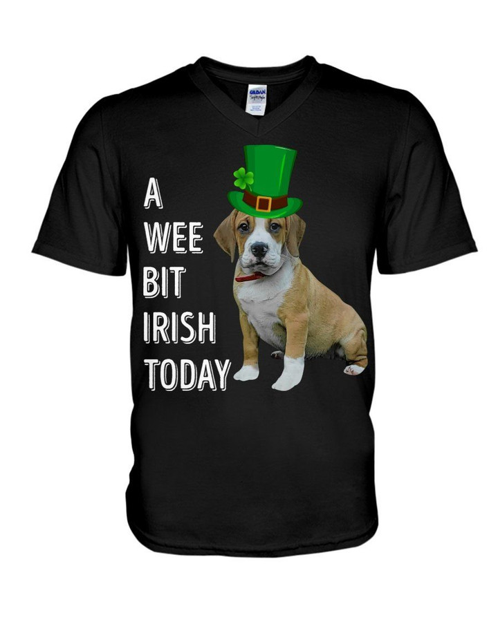 Beabull Irish Today Green St. Patrick's Day Guys V-neck