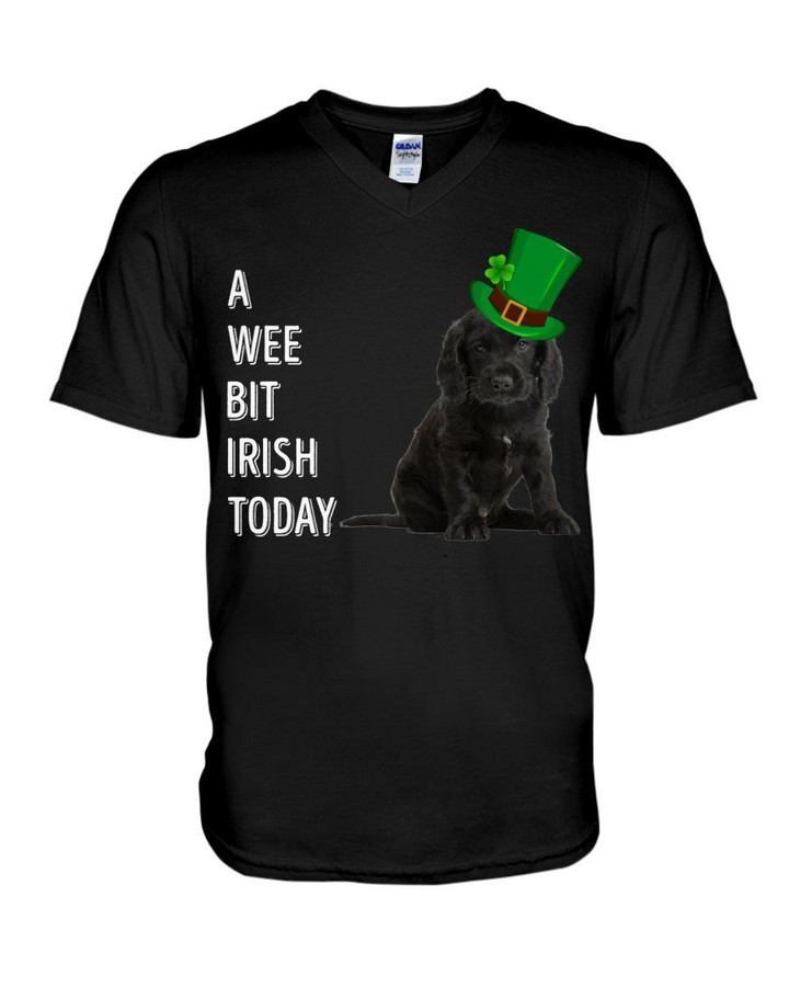 Black Cocker Spaniel Irish Today Green St. Patrick's Day Guys V-neck
