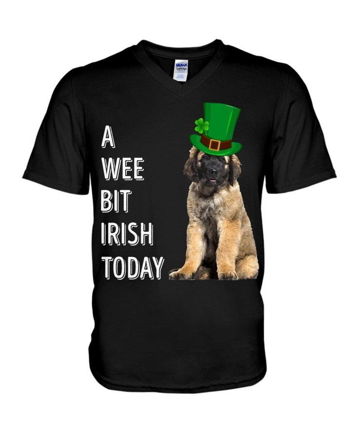 Leonberger Irish Today Green St. Patrick's Day Guys V-neck