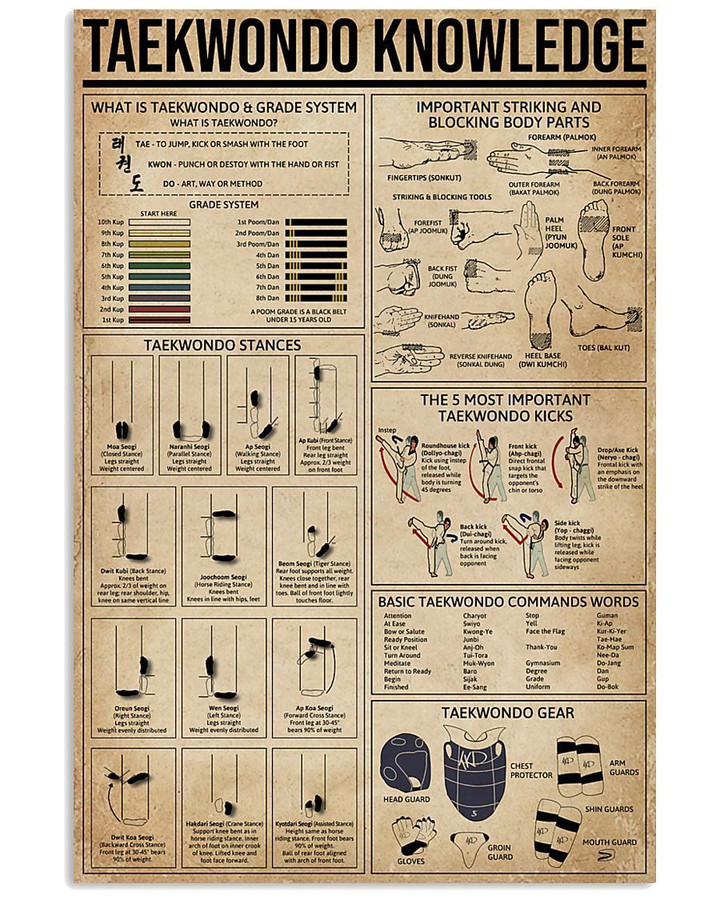Something You Should Know About Taekwondo Knowledge Vertical Poster