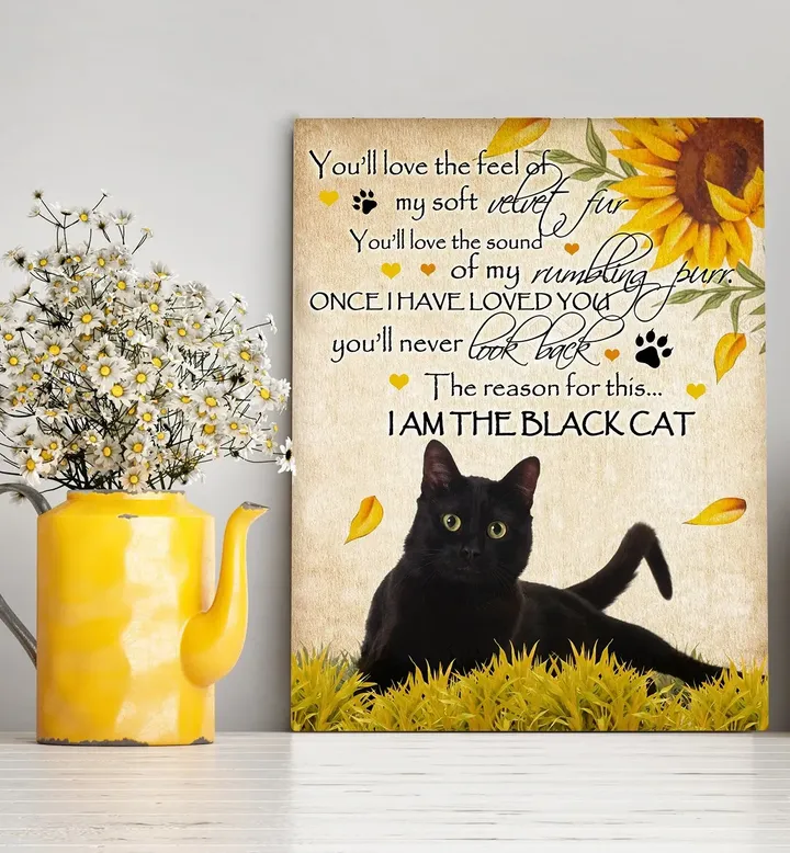 I Am The Black Cat Sunflower Gift For Cat Lovers Matte Canvas