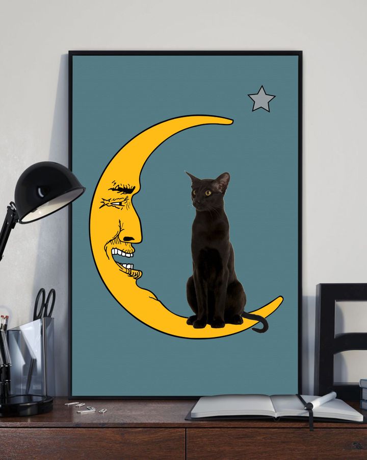 Black Cat On Moon Gift For Cat Lovers Matte Canvas