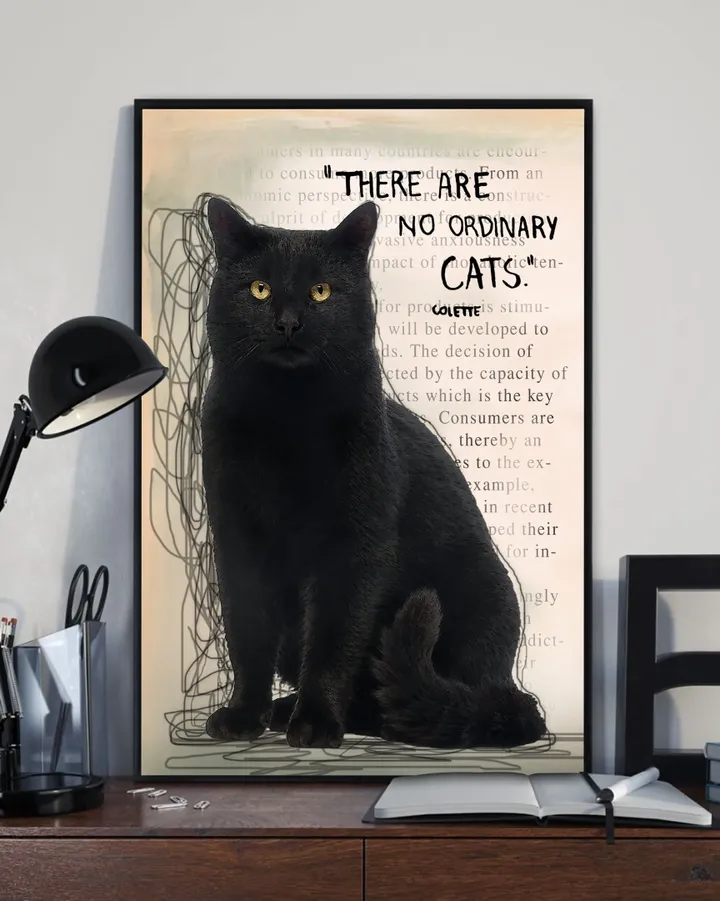 There Are No Ordinary Cats Gift For Cat Lovers Matte Canvas