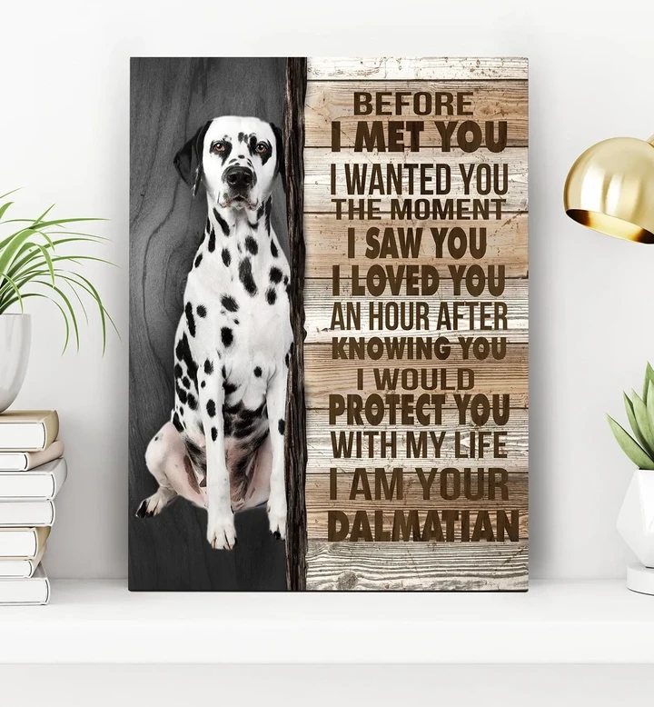Before I Met You Dalmatian Gift For Dog Lovers Matte Canvas
