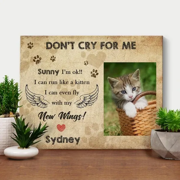 Frame On Wall Pet Memorial Cat Don't Cry For Me Custom Name Custom Photo Matte Canvas