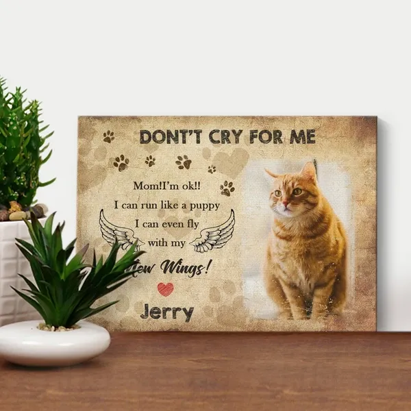 Pictures On Wall Pet Memorial Frame-don't Cry For Me Custom Name Custom Photo Matte Canvas