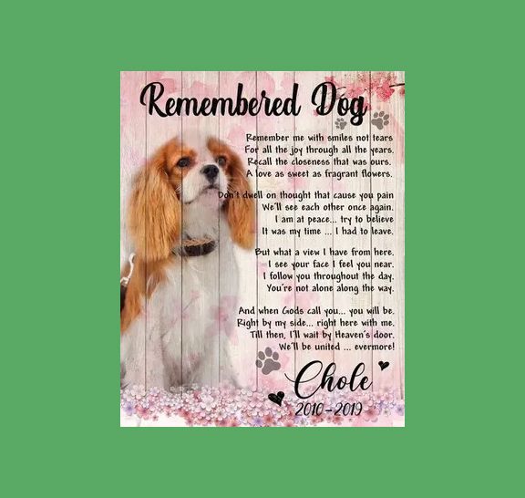 Custom Name And Numbers Charles Spaniel King Remembered Dog Gift For Dog Lovers Matte Canvas