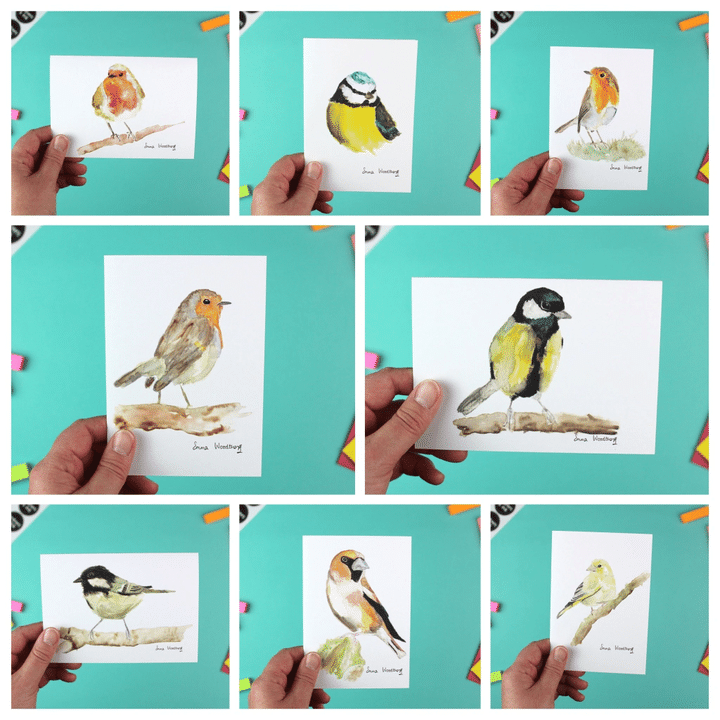 Bird Lover's Folder Greeting Card Set Of 10