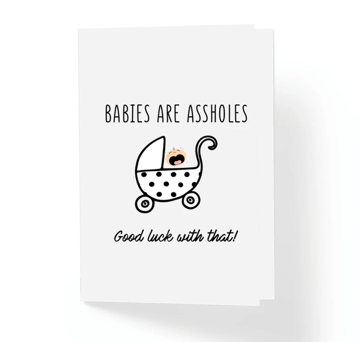Babies Are Assholes Folder Greeting Card Set Of 10