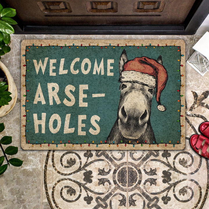 Funny Design Wellcome Arse Holes Doormat Home Decor