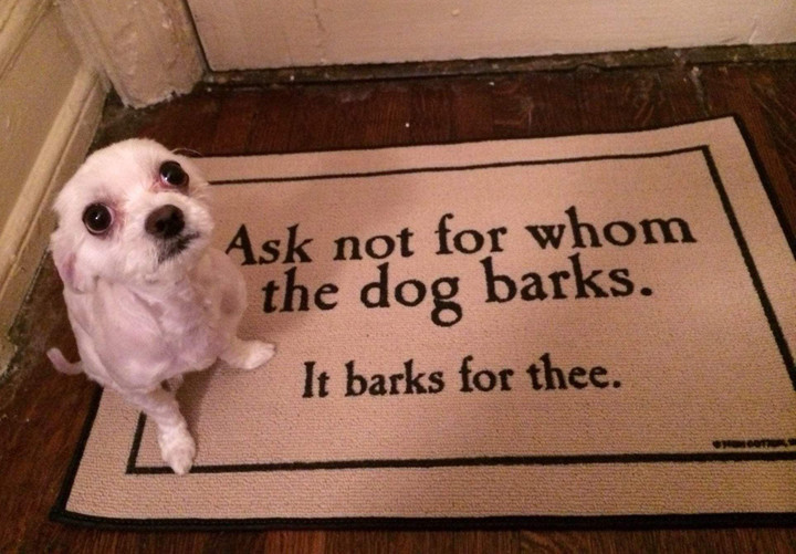 Funny Doormat Home Decor Ask Not For Whom The Dog Barks