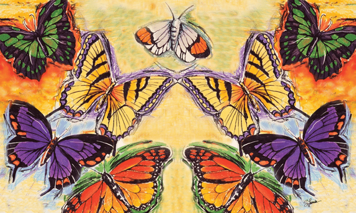 Vivid Flight Of The Butterflies Design Doormat Home Decor