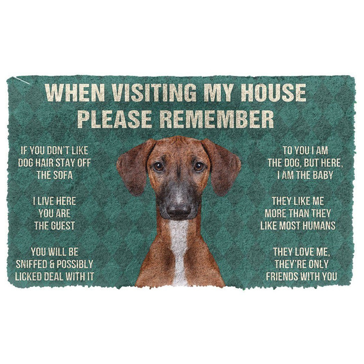 Classic Teal Doormat Home Decor Please Remember Azawakh Dogs House Rules