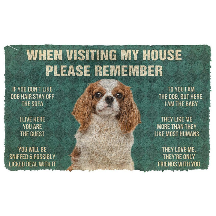 Amazing Cavalier King Charles Spaniel House Rules Doormat Home Decor Gift For Dog Lovers