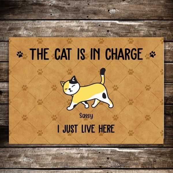Beware The Cat Is In Charge We Just Live Here Custom Name Doormat Home Decor