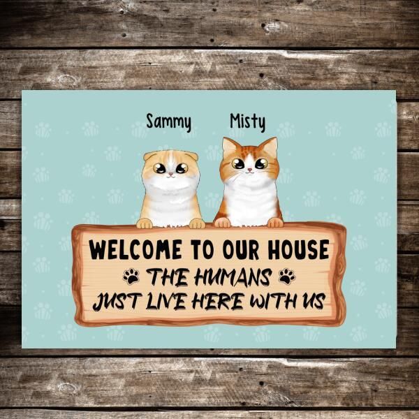 Welcome To Our Home Custom Gift For Cat Lovers Custom Name Doormat Home Decor
