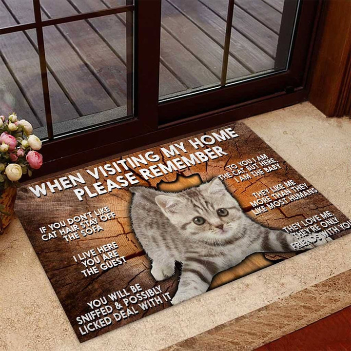 Design Doormat Home Decor When Visiting My Home Please Remember Cat Lying Down