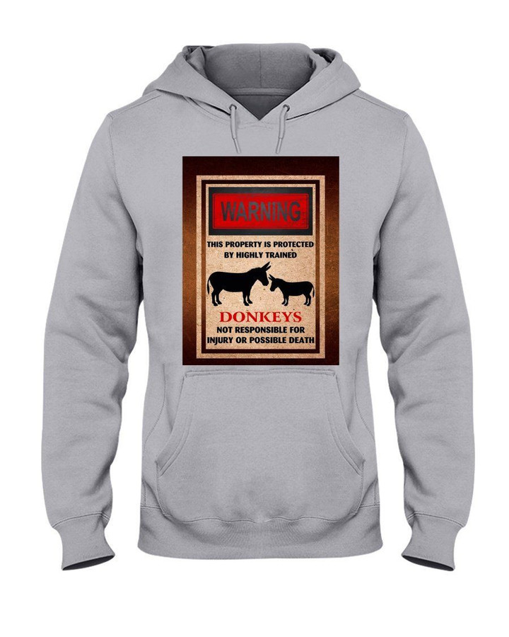 Donkey Property Protected By Trained Gift For Doneky Lovers Hoodie