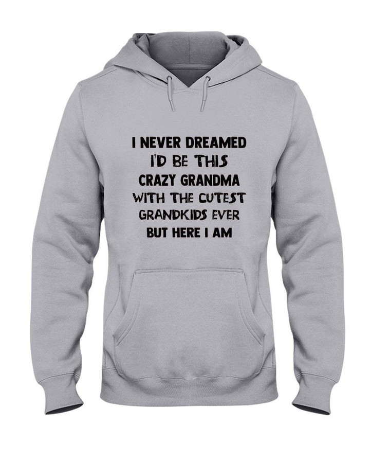 I'd Be This Crazy Grndma With The Cutest Grandkids Ever Hoodie