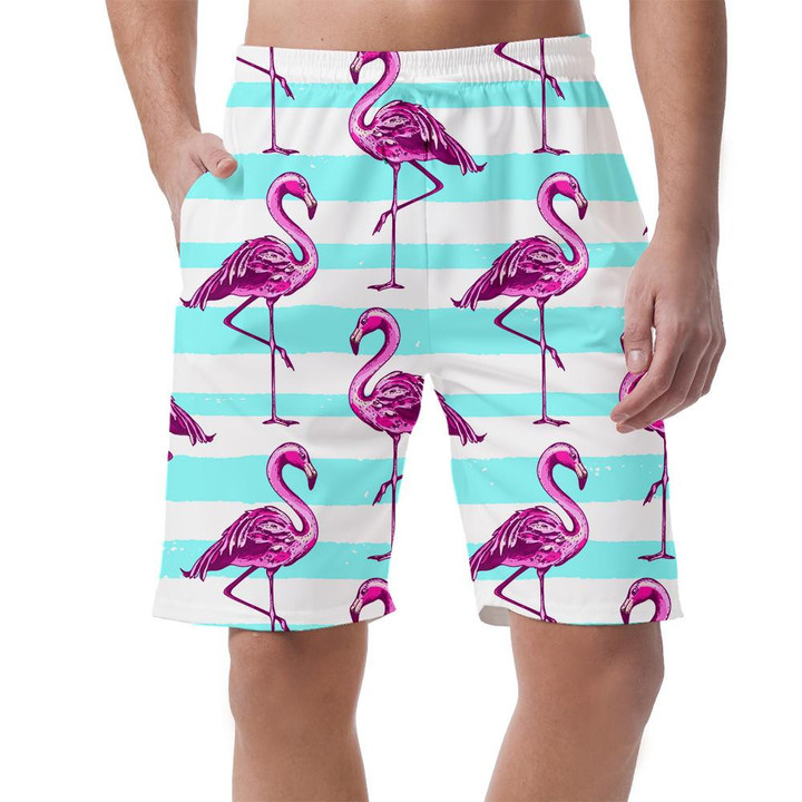 Summer With Pink Flamingo And Blue Lines Can Be Custom Photo 3D Men's Shorts