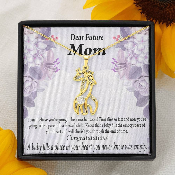 Dear Future Time Flies So Fast To Be A Parent Giraffe Couple Necklace