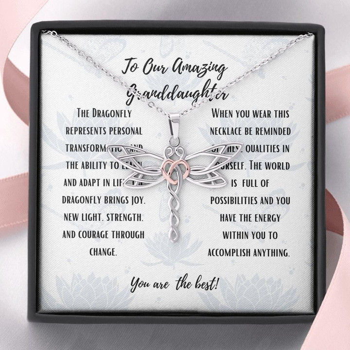 You Are The Best Dragonfly Dreams Necklace Gift For Granddaughter