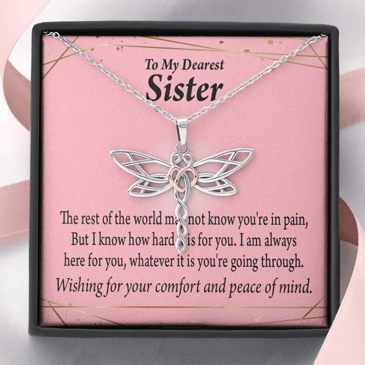 The Rest Of The World Dragonfly Dreams Necklace Gift For Sister