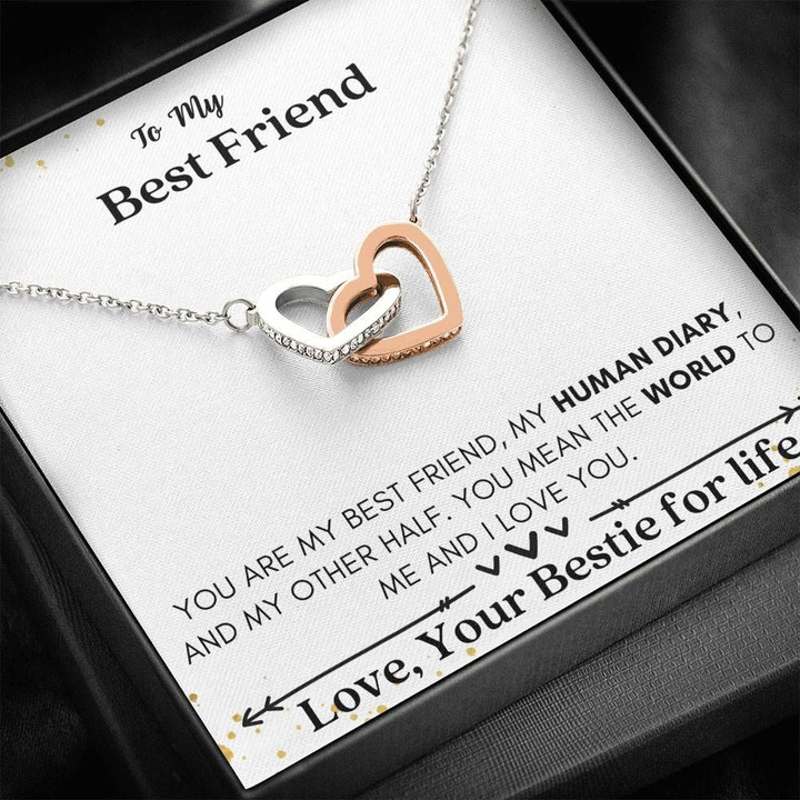 You Are My Human Diary Gift For BFF Interlocking Hearts Necklace