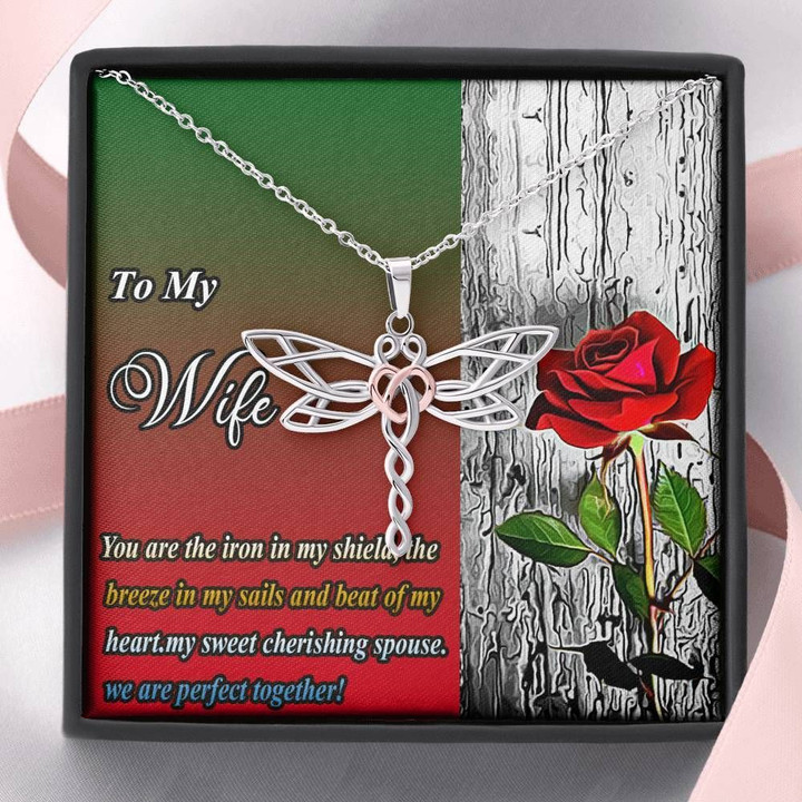 We Are Perfect Together Gift For Wife Dragonfly Dreams Necklace