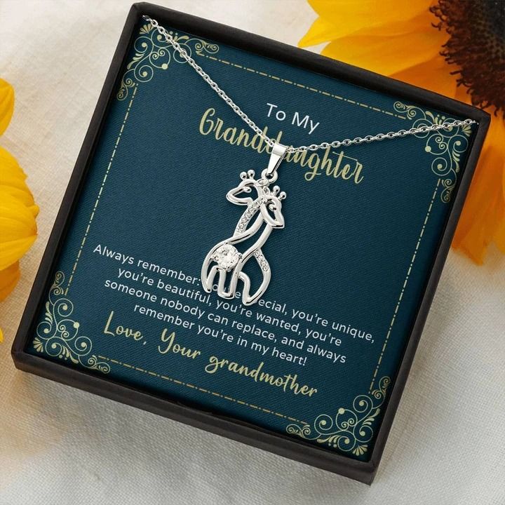 To My Granddaughter Always Remember You're Special Giraffe Couple Necklace