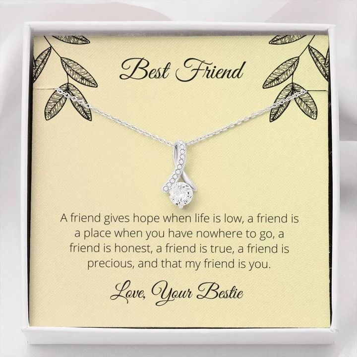 A Friend Gives Hope When Life Is Low Alluring Beauty Necklace