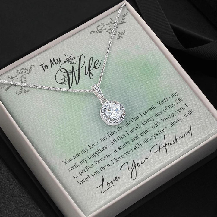 Every Day Of My Life Is Perfect Gift For Wife Eternal Hope Necklace