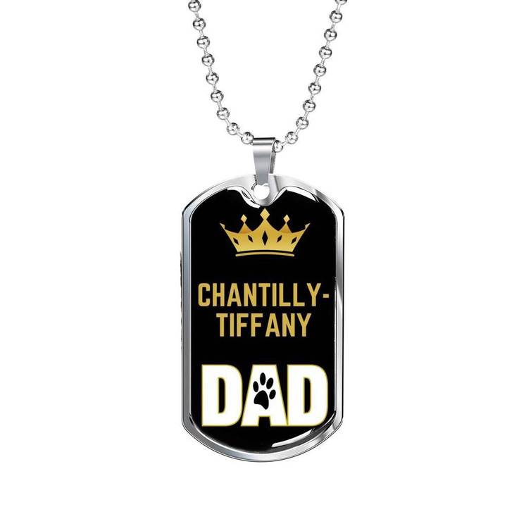 Gift For Dad Chantillytiffany Cat Dad Gift For Cat Owner Lover Cute Paw Pattern Dog Tag Necklace