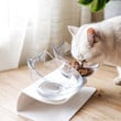 Orthopedic & Anti-vomiting Cat Bowl