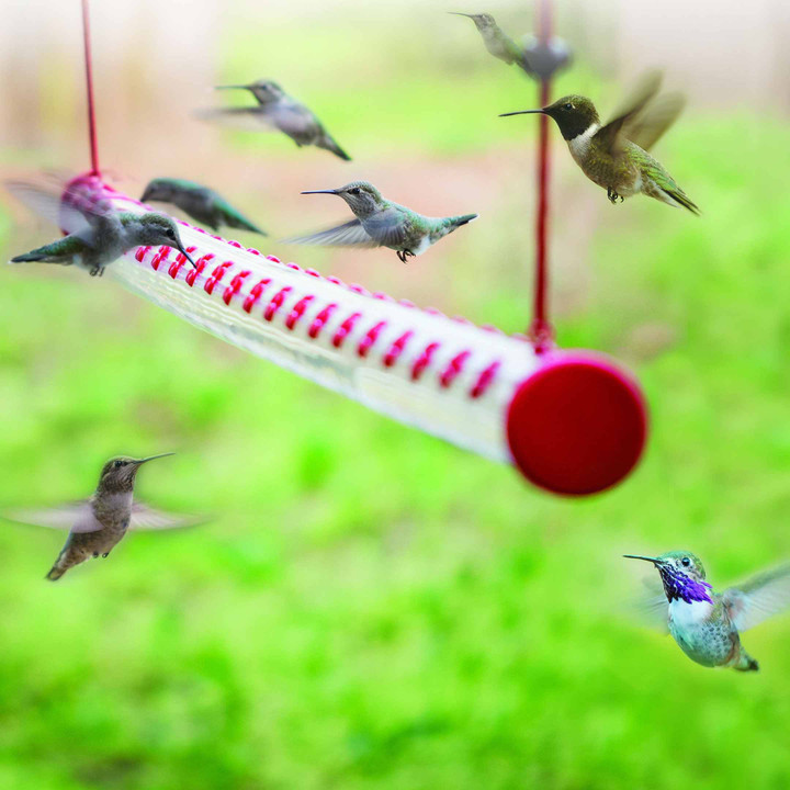 🔥 50% OFF - LIMITED TIME ONLY 🔥- Bob's Best Hummingbird Feeder
