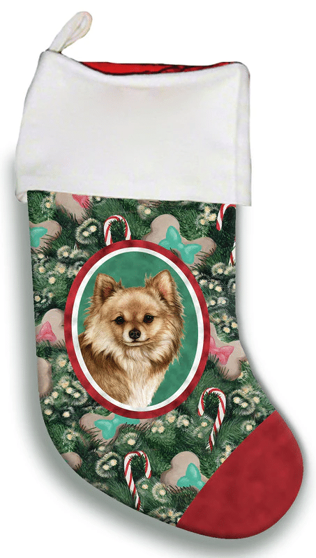 Chihuahua Longhaired Fawn - Best of Breed Christmas Stocking Hanging Ornament