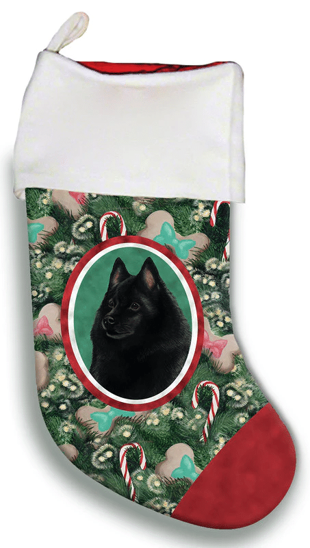 Schipperke- Best of Breed Christmas Stocking Hanging Ornament