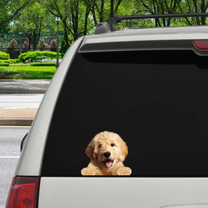 Can You See Me Now - Goldendoodle Car Sticker Car Decal