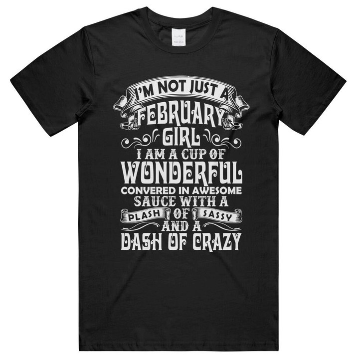 Febuary Girl Plash Of Sassy Dash Of Crazy Women's Birthday Gifts Unisex T-Shirts
