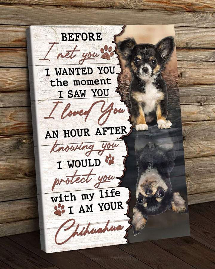 Chihuahua - Before I met you Canvas