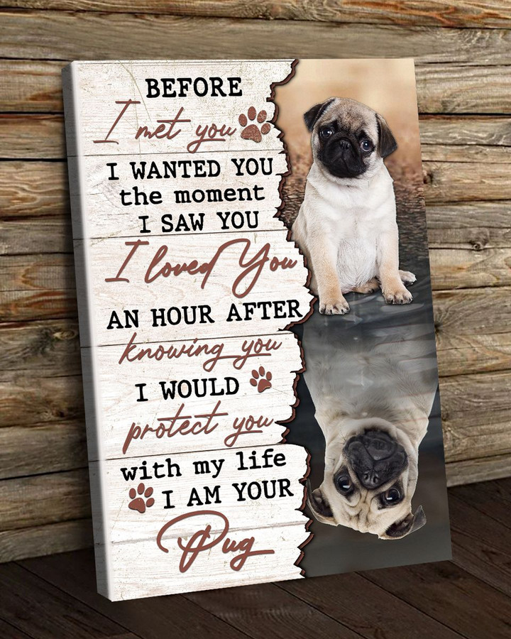 Pugs - Before I met you Canvas